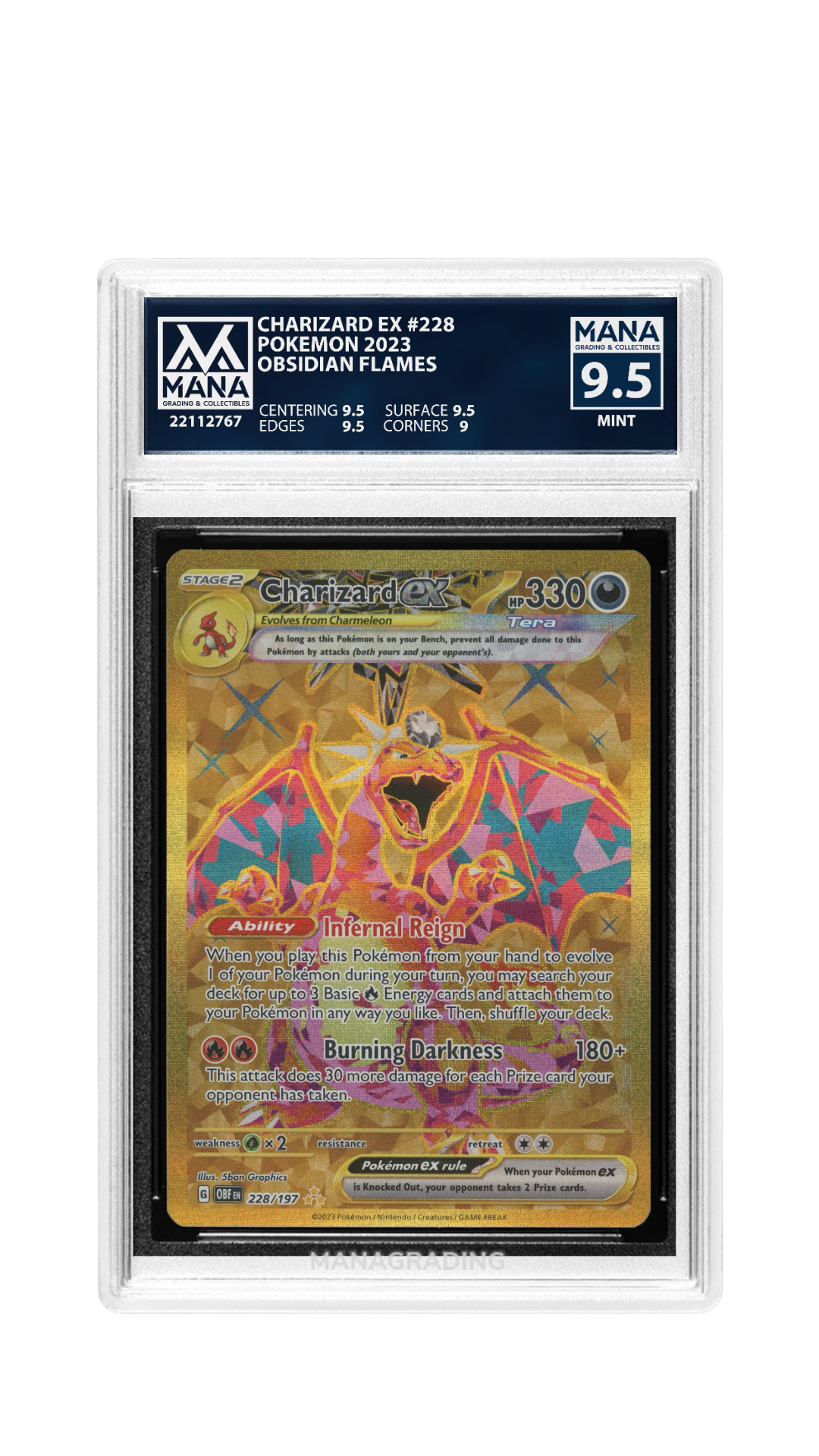 CHARIZARD EX - 228 MANA 9.5